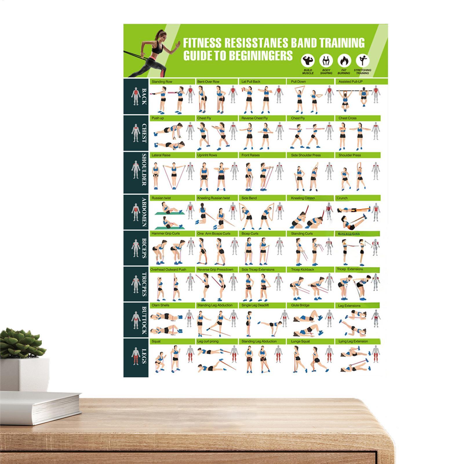Pósteres de Ejercicio, Bandas  - Women Accessories Poster reseña y precio