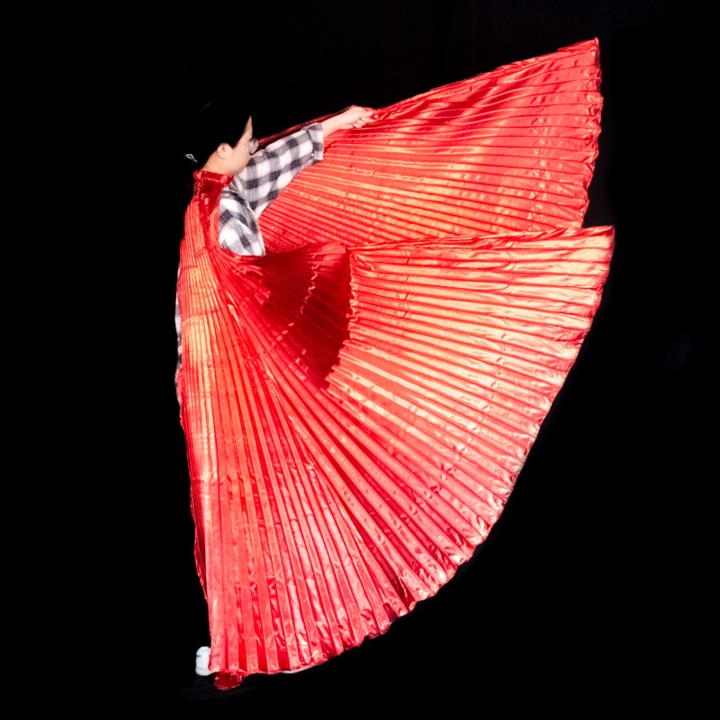 Alas de danza del vientre para - Women Accessories In Egypt reseña y precio